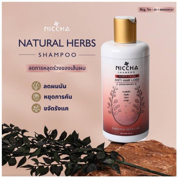 NATURAL HERBS CHAMPOO